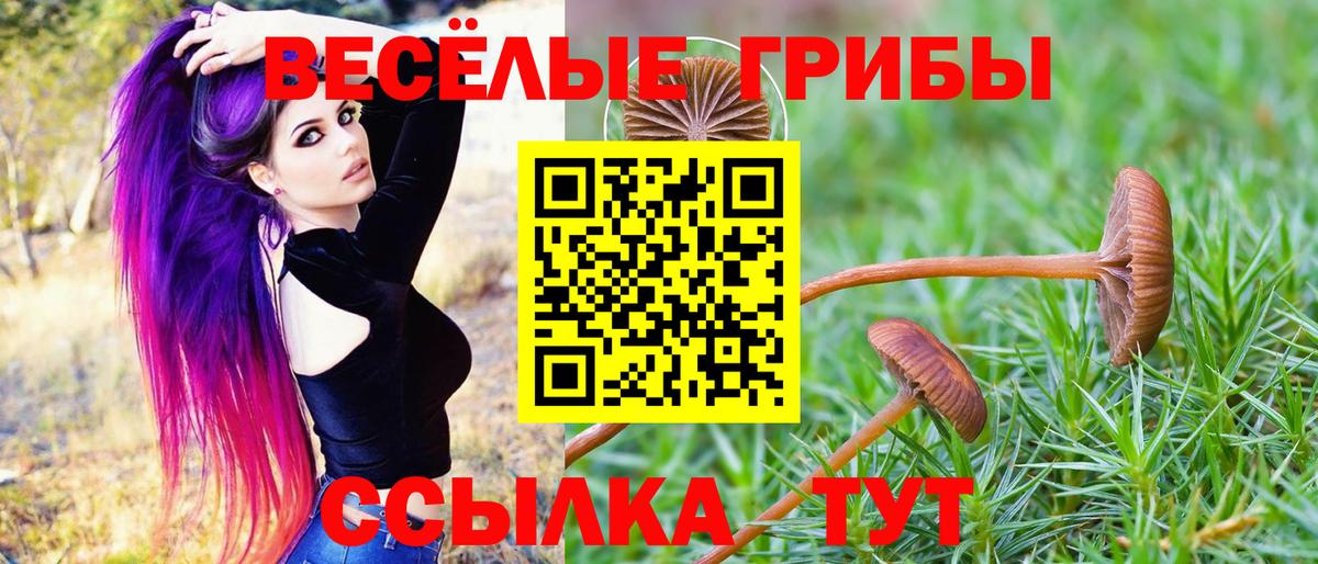 Псилоцибиновые грибы GOLDEN TEACHER Зима