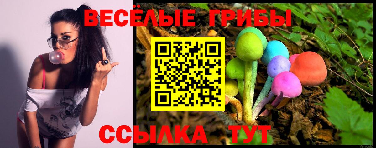 Зима  Псилоцибиновые грибы Psilocybine cubensis  Галлюциногенные грибы Magic Shrooms  Вход с VPN 